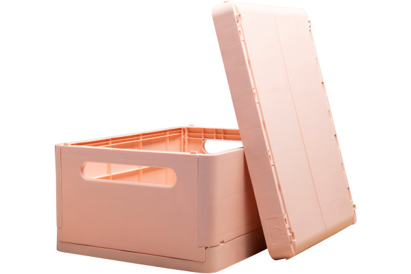 EXACOMPTA Klappbox Skandi A4+ 27231D Maxi hellrosa 375x40x275mm