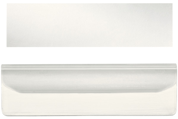 LEITZ Beschriftungsschild 55x15mm 6005-00-0 für Stehs./Briefkörbe 10 Stk.