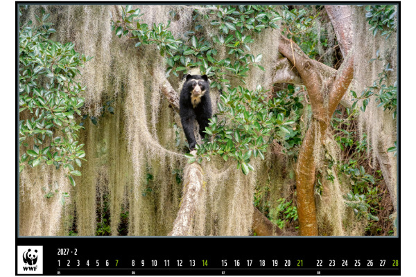 CALENDARI Bildkalender 2027 36206301 WWF Wildlife ML 34x48cm