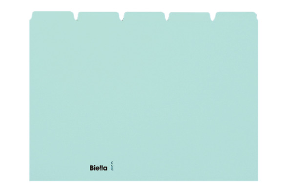 BIELLA Kartei-Leitkarten blanko A5 21055505U blau 25-teilig