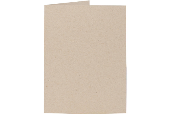 ARTOZ Karten 1001 E6 237226584 216g, desert 5 Blatt