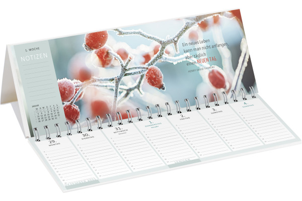 ARS EDITI Tischkalender 2027 13931 Lieblingstag DE 29.7x11.5cm