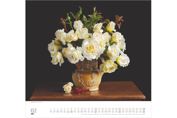 DUMONT Bildkalender 2027 261185 Rosen ML 38x35.5cm