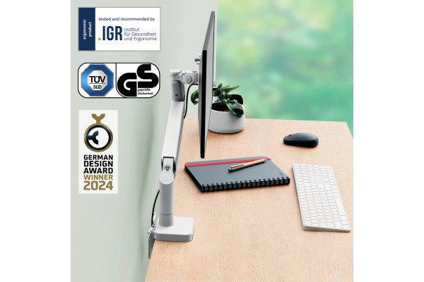 LEITZ Monitorarm Ergo 64890085 Grau, single