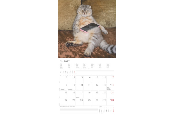 ALPHA EDI Bildkalender 2027 161197 Funny Cats ML 30x30cm