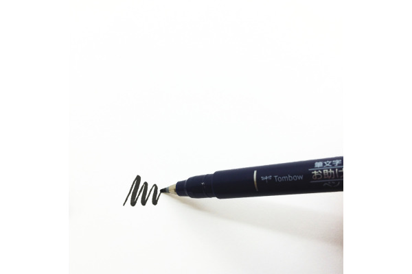 PILOT Begreen Twin Point 0,3mm SCATMBBG schwarz