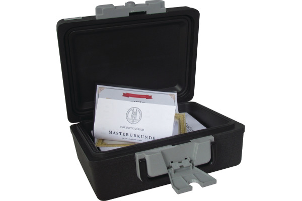 RIEFFEL Tresor SecurityCase6 A17731 feuerfest 389x300x165mm