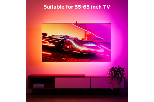 GOVEE Envisual TV Light H6098CD1 Netflix Edition, 55-65 TV
