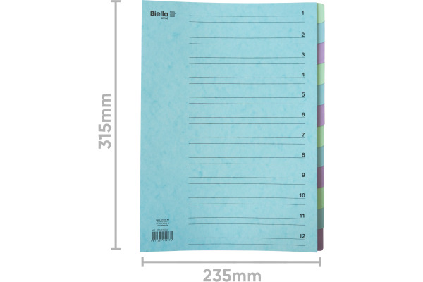 BIELLA Fächermappe A4 32641200U Karton, farbig 12 Fächer