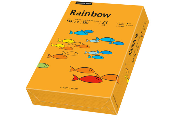 RAINBOW Papier orange/24 A4 88042439 FSC, 160g 250 Blatt
