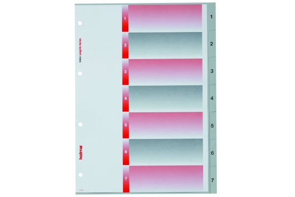 KOLMA Register LongLife A4 19.574.03 grau 1-7
