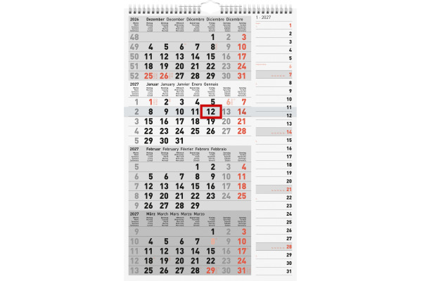 RIDOIDE 4-Monats-Kombiplaner 2027 703343000 4M/1S 30x49cm