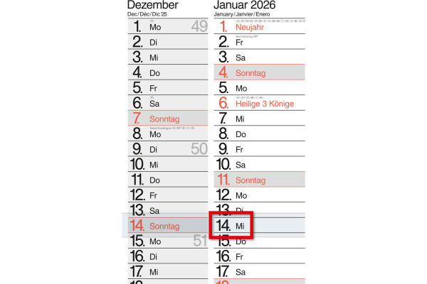 BÜHNER 3-Monatskalender 2027 M3TE-R-BL ML 30x59cm