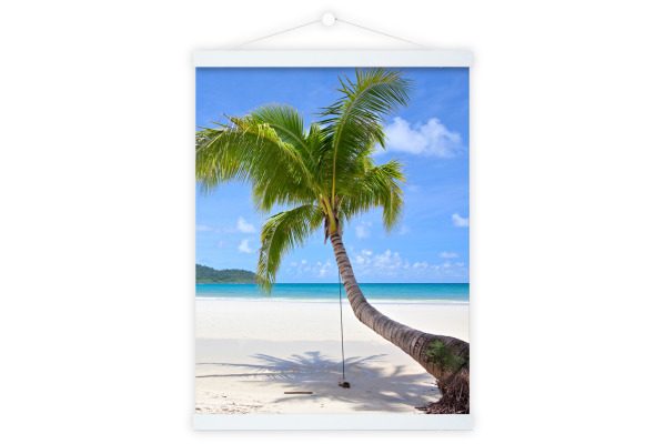 DEBEX Posterleisten 51x2cm LWMG 51 weiss, magnetisch