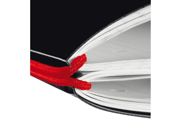 HERLITZ Notizheft My.Book A4 11361508 kariert, liniert, schwarz