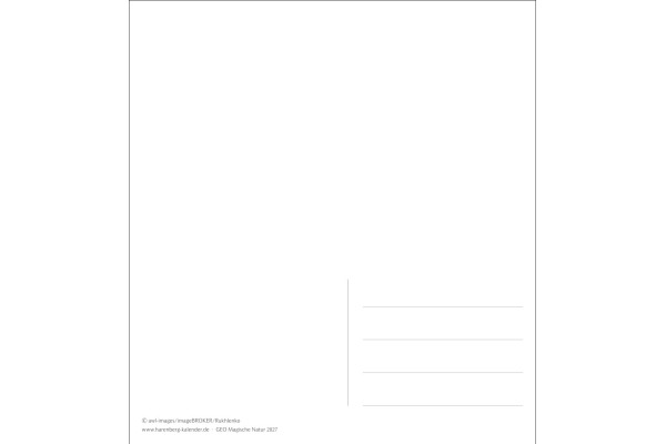 HARENBERG Postkartenkalender 2027 331025627 GEO Magische Natur 16x17.5cm