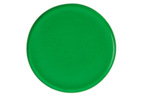 BÜROLINE Magnet 24 mm 392623 grün 6 Stück