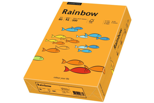 RAINBOW Papier orange/24 A3 88042434 FSC, 80g 500 Blatt