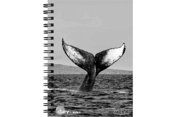 BIELLA Schüleragenda Whale 26/27 17860027U 1W/2S 12x16.5cm