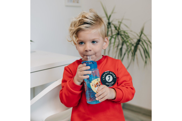 SCOOLI Trinkflasche Aero 500ml PPCT9913Z Aero Paw Patrol