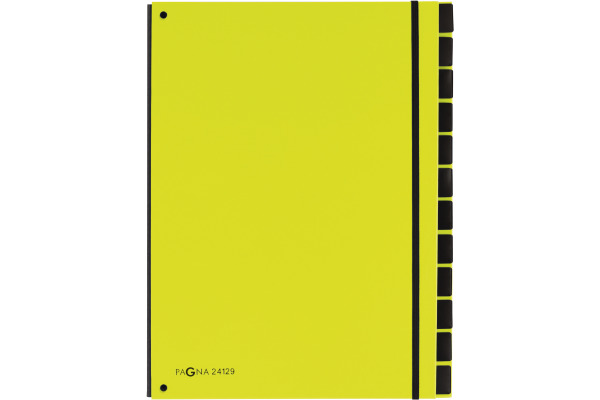 PAGNA Pultordner Trend A4 24129-17 lindgrün 12 Fächer