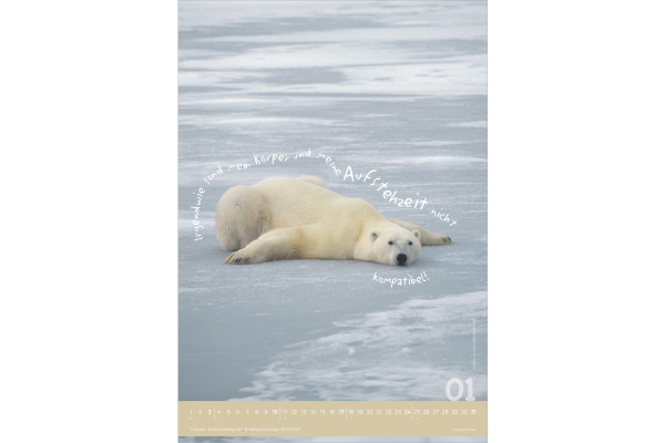 ALPHA EDI Bildkalender 2027 161034 Tierisch cool! DE 23.7x34cm