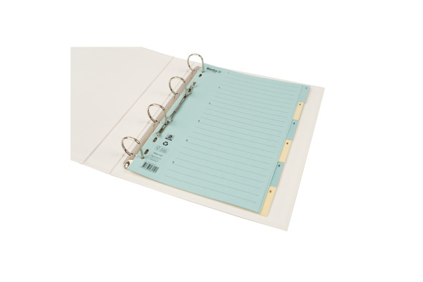 BIELLA Kartonregister 210g A4 46244600U blau/gelb 1-6