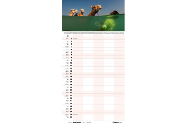 CALENDARI Familienplaner 2027 36206325 Helvetas DE/FR 27.5x56cm