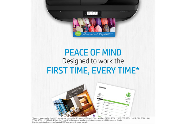 HP Advanced Photo Paper 10 Blatt 49V51A Gloss 4x12in/10x30,5cm
