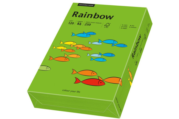 RAINBOW Papier intensivgrün/78 A3 88042679 FSC, 120g 250 Blatt