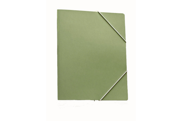 EROLA Gummibandmappe 450my A4 511 grün Karton