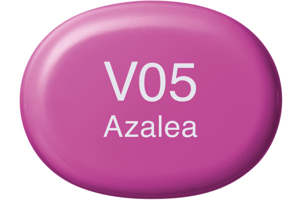 COPIC Marker Sketch 21075296 V05 - Azalea