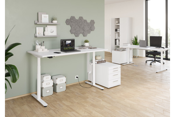 APOLLO Kabelkette VCKVL/D schwarz, magnetisch