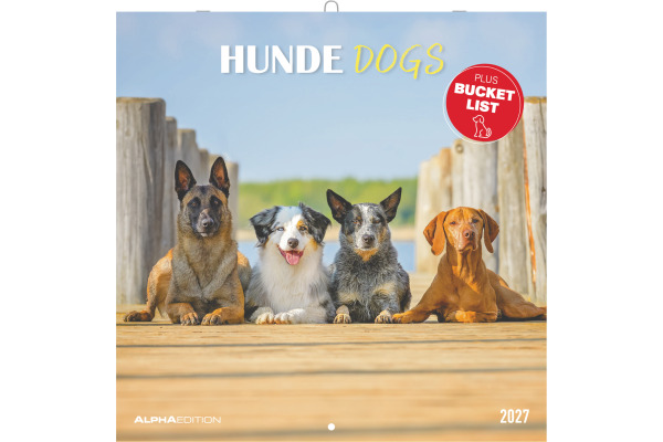ALPHA EDI Bildkalender 2027 161058 Hunde ML 30x30cm