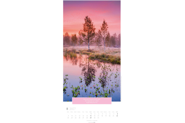 WEINGARTE Bildkalender 2027 295860027 Wunderwelt Bäume DE 33x68cm