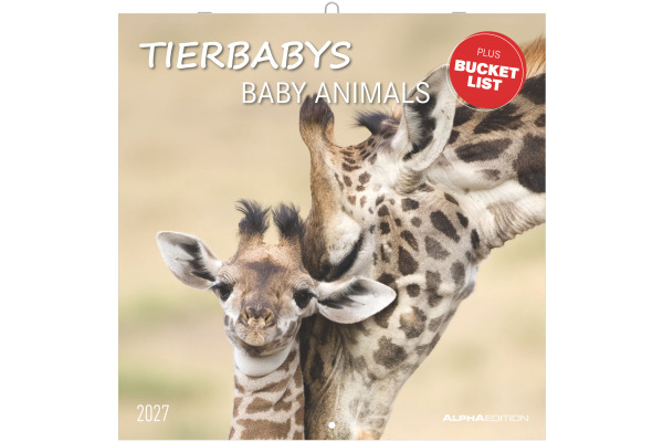 ALPHA EDI Bildkalender 2027 161887 Tierbabys ML 30x30cm