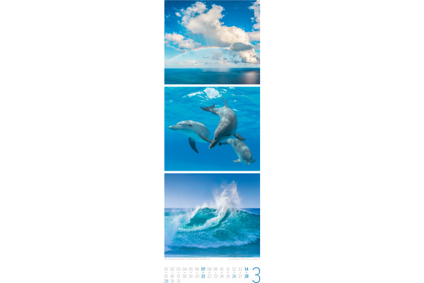 ACKERMANN Bildkalender 2027 3730 BeachTime 24x66cm