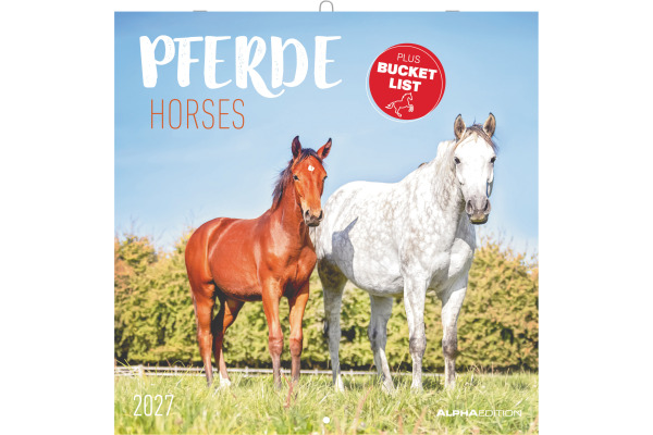 ALPHA EDI Bildkalender 2027 161059 Pferde ML 30x30cm