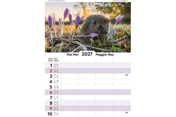 CALENDARI Familienplaner 2027 36205861 mit Tieren ML 21x27.9cm