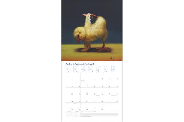DUMONT Bildkalender 2027 261558 Yoga Chicks 30x30cm