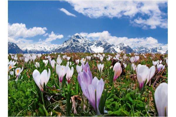 CALENDARI Bildkalender 2027 36205823 Engadin ML 40x31cm