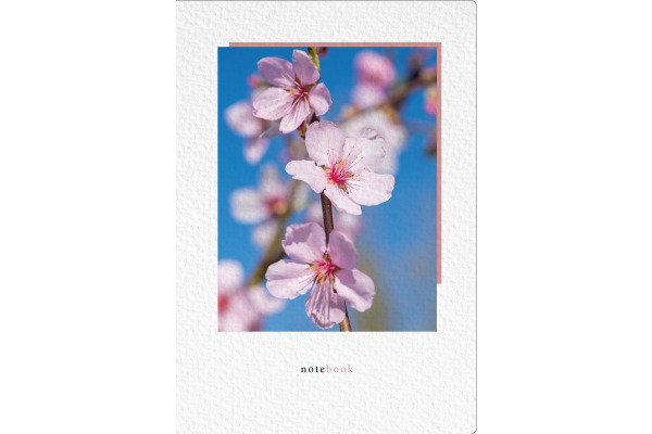 NATURVERL Notizbuch Crushpaper A5 11018N Mandel Foto, dots 80 Blatt