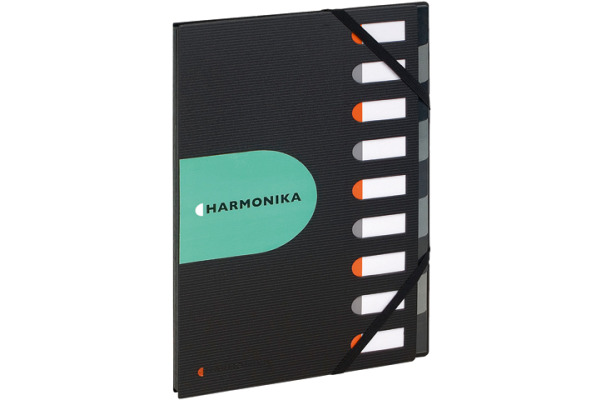 EXACOMPTA EXACTIVE Harmonika A4 55334E schwarz