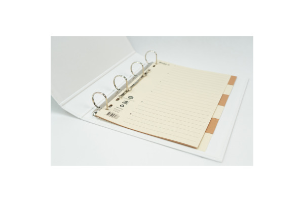BIELLA Kartonregister A4 46444600U braun/beige 6-teilig