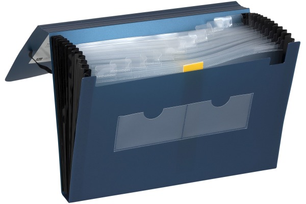 DUFCO Expanding File A4 51500.036 blau metallic 13 Fächer