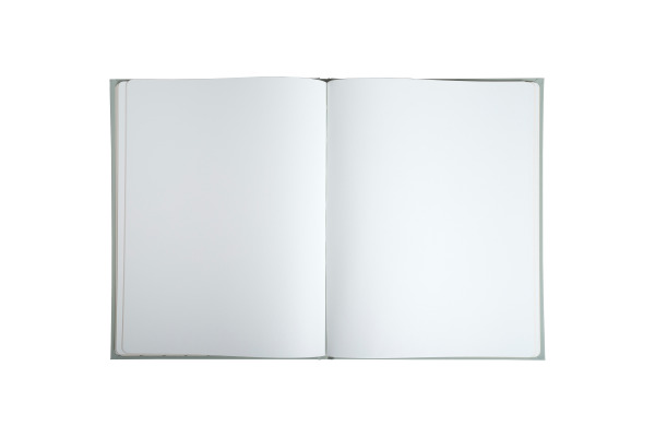 EXACOMPTA Gästebuch Ellipse 22x27cm 47982E grün 100 Seiten