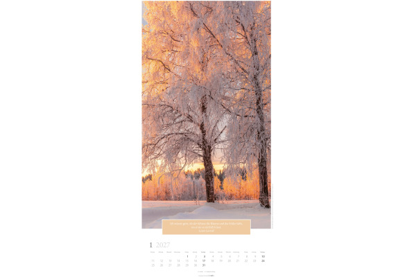 WEINGARTE Bildkalender 2027 295860027 Wunderwelt Bäume DE 33x68cm