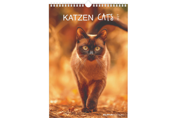 ALPHA EDI Bildkalender 2027 161212 Katzen ML 23.7x34cm