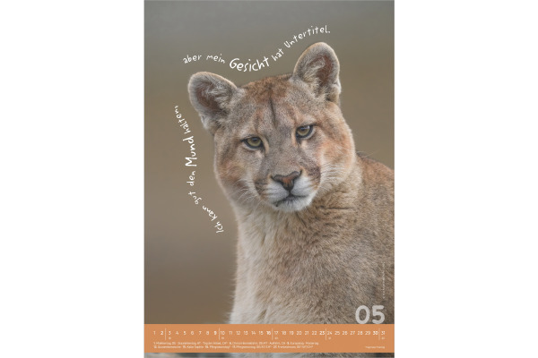 ALPHA EDI Bildkalender 2027 161034 Tierisch cool! DE 23.7x34cm