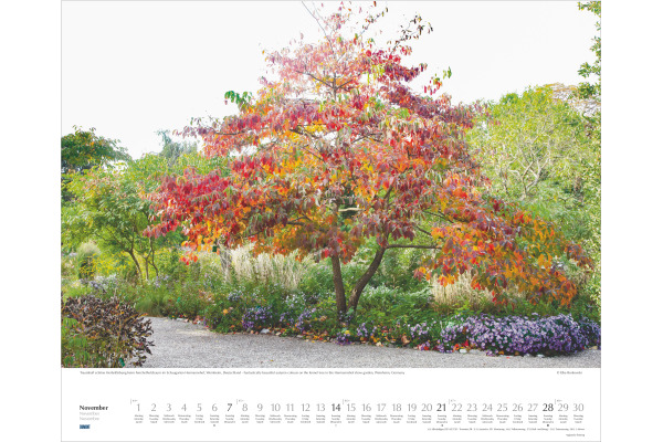 DUMONT Bildkalender 2027 261049 Schöne Gärten ML 52x42.5cm